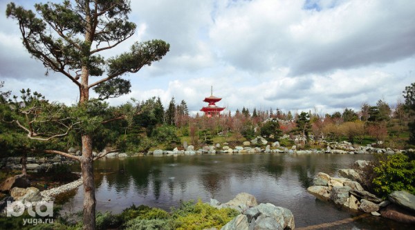 Японский сад называют самой камерной и атмосферной локацией парка &laquo;Краснодар&raquo;. Фото и впечатления