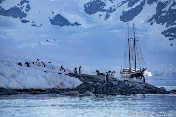 «Присягнуть Антарктиде». Краснодарка рассказала, как путешествовала по Южному полюсу, что увидела там и сколько это стоит «Присягнуть Антарктиде». Краснодарка рассказала, как путешествовала по Южному полюсу, что увидела там и сколько это стоит