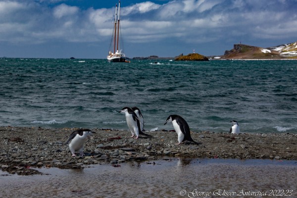 «Присягнуть Антарктиде». Краснодарка рассказала, как путешествовала по Южному полюсу, что увидела там и сколько это стоит «Присягнуть Антарктиде». Краснодарка рассказала, как путешествовала по Южному полюсу, что увидела там и сколько это стоит