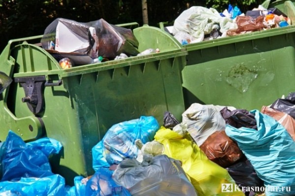 Мусорный вопрос Мусорный вопрос