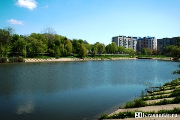 В городском озере найдено тело