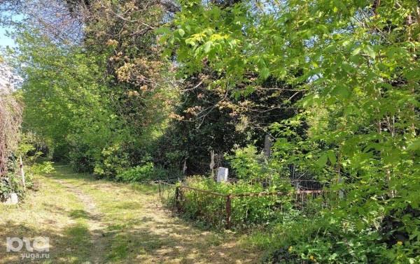 «В потустороннюю чушь не верю». Жители Краснодара рассказали, как им живётся рядом с кладбищами «В потустороннюю чушь не верю». Жители Краснодара рассказали, как им живётся рядом с кладбищами