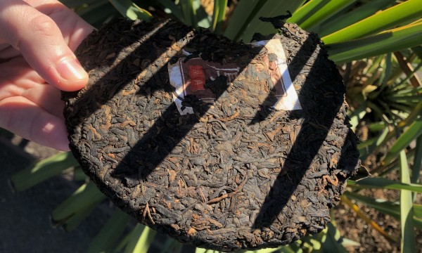 Чайные Краснодара: история, смысл церемоний и обзор 18 мест с ценами и фото