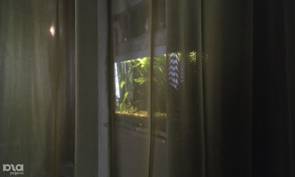 Чайные Краснодара: история, смысл церемоний и обзор 18 мест с ценами и фото