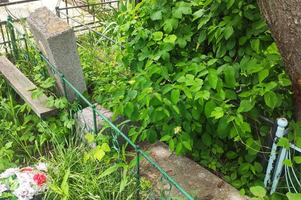 История о живых, рассказанная мертвыми. Психолог прокомментировал состояние Русского кладбища в поселке под Краснодаром