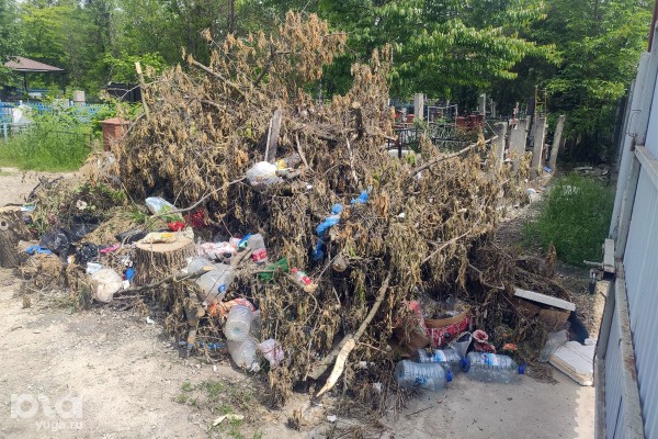 История о живых, рассказанная мертвыми. Психолог прокомментировал состояние Русского кладбища в поселке под Краснодаром