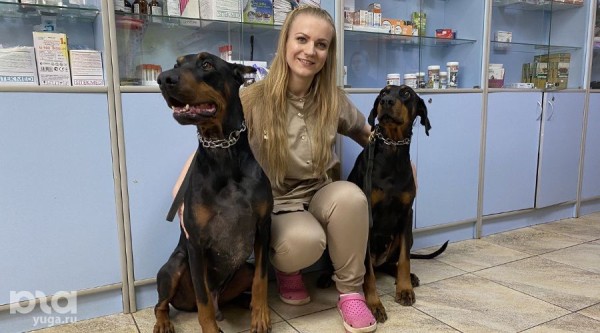 Лапа помощи. Как ветеринар в Краснодаре начала формировать базу доноров крови для собак