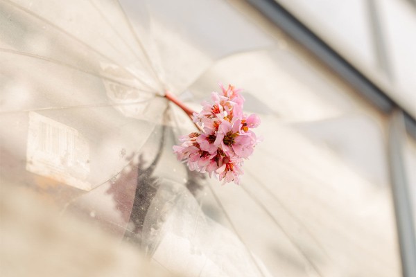 «Муж попросил не подавать в суд». Несколько историй женщин из Краснодара о том, как в России не любят платить алименты