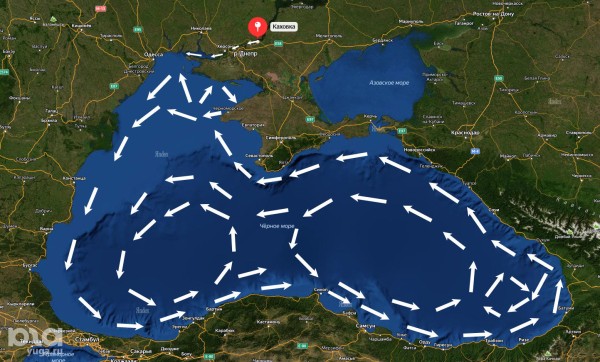 Опасно ли купаться в Черном море на побережьях Крыма и Краснодарского края после разрушения Каховской ГЭС? Отвечают эксперты