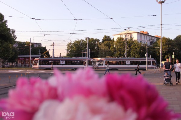 Видеонаблюдение, безопасность на дорогах и образование. Как «Ростелеком» строит «Цифровую экономику» на юге России