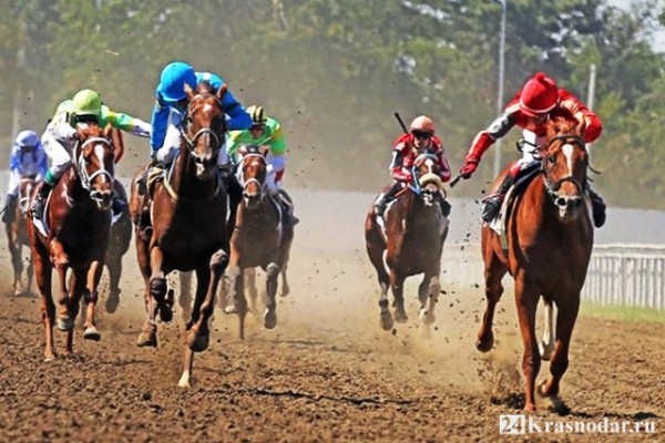 Ипподром открывает сезон
