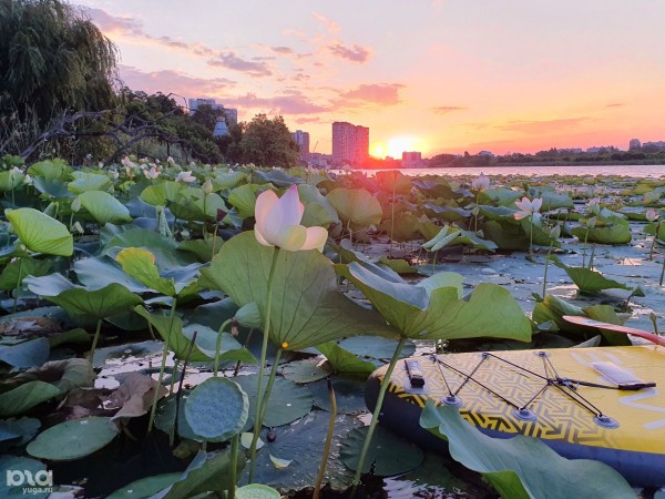 7 красивых мест для сапсерфинга в Краснодарском крае. Сколько стоит прогулка и где арендовать доску