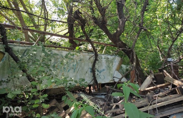 «Была распродажа, он и взял». Кто и зачем хранит у себя во дворе в Краснодаре настоящий самолет «Была распродажа, он и взял». Кто и зачем хранит у себя во дворе в Краснодаре настоящий самолет