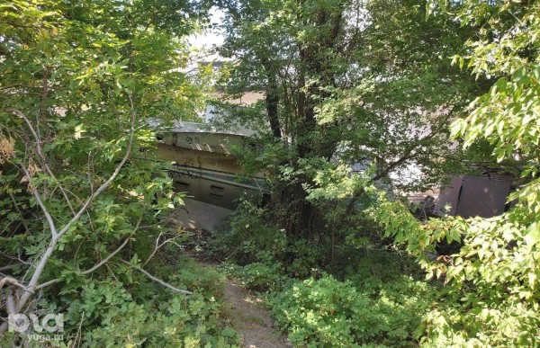 «Была распродажа, он и взял». Кто и зачем хранит у себя во дворе в Краснодаре настоящий самолет «Была распродажа, он и взял». Кто и зачем хранит у себя во дворе в Краснодаре настоящий самолет