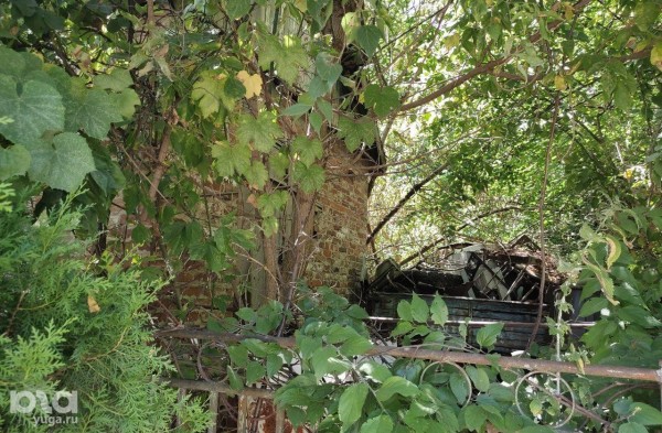 «Была распродажа, он и взял». Кто и зачем хранит у себя во дворе в Краснодаре настоящий самолет «Была распродажа, он и взял». Кто и зачем хранит у себя во дворе в Краснодаре настоящий самолет