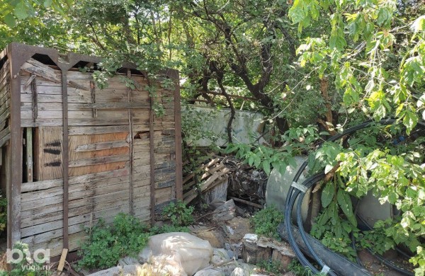 «Была распродажа, он и взял». Кто и зачем хранит у себя во дворе в Краснодаре настоящий самолет «Была распродажа, он и взял». Кто и зачем хранит у себя во дворе в Краснодаре настоящий самолет