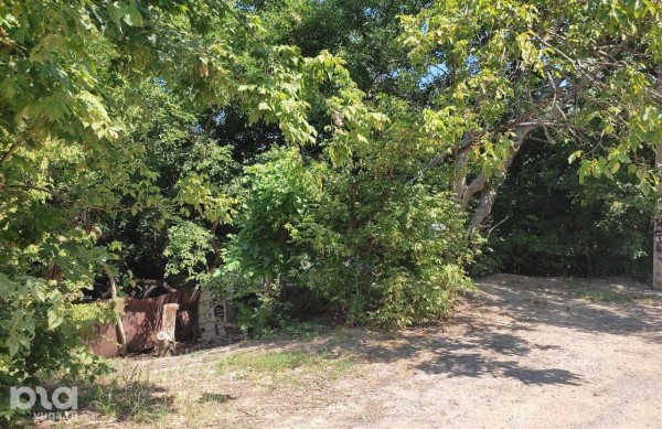 «Была распродажа, он и взял». Кто и зачем хранит у себя во дворе в Краснодаре настоящий самолет «Была распродажа, он и взял». Кто и зачем хранит у себя во дворе в Краснодаре настоящий самолет