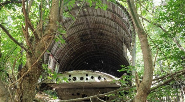 «Была распродажа, он и взял». Кто и зачем хранит у себя во дворе в Краснодаре настоящий самолет «Была распродажа, он и взял». Кто и зачем хранит у себя во дворе в Краснодаре настоящий самолет