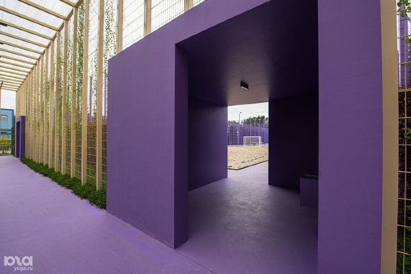 Каким спортом можно заниматься в парке &laquo;Краснодар&raquo; и сколько это стоит (есть и бесплатные площадки)