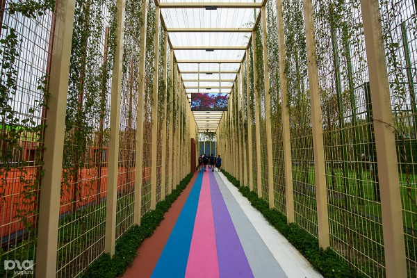 Каким спортом можно заниматься в парке &laquo;Краснодар&raquo; и сколько это стоит (есть и бесплатные площадки)