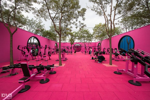 Каким спортом можно заниматься в парке &laquo;Краснодар&raquo; и сколько это стоит (есть и бесплатные площадки)