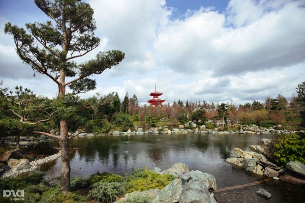 Меценаты Краснодара. Какие бизнесмены помогают городу и краю и что они делают Меценаты Краснодара. Какие бизнесмены помогают городу и краю и что они делают