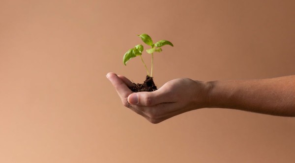 Меценаты Краснодара. Какие бизнесмены помогают городу и краю и что они делают Меценаты Краснодара. Какие бизнесмены помогают городу и краю и что они делают