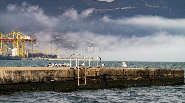 Кто такая безголовая Векслер, куда приезжала &laquo;Битва экстрасенсов&raquo;, зачем Брежнев строил здесь метро. Легенды Новороссийска