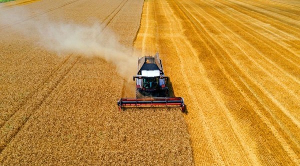 Универсальный труженик. Аграрий из Краснодарского края рассказал, как комбайн Ростсельмаш Т500 отработал сезон