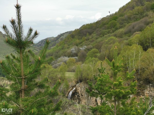 Город-парк, улица Чебурашки, европейская архитектура. Пять причин съездить из Краснодара в Кисловодск