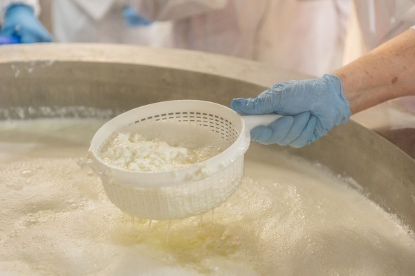 Как адыгейский сыр полюбили покупатели по всей России