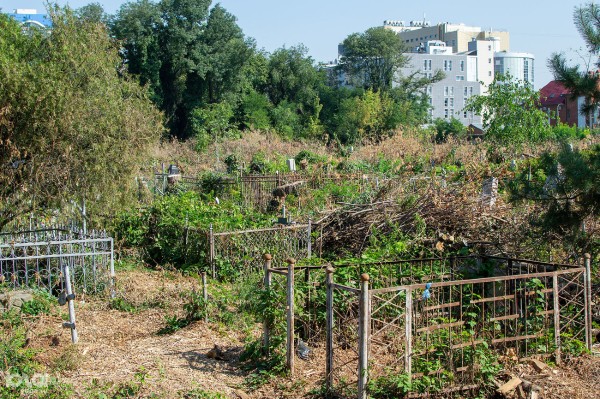 Как рубят деревья и рушат надгробия на Всесвятском кладбище Краснодара Как рубят деревья и рушат надгробия на Всесвятском кладбище Краснодара