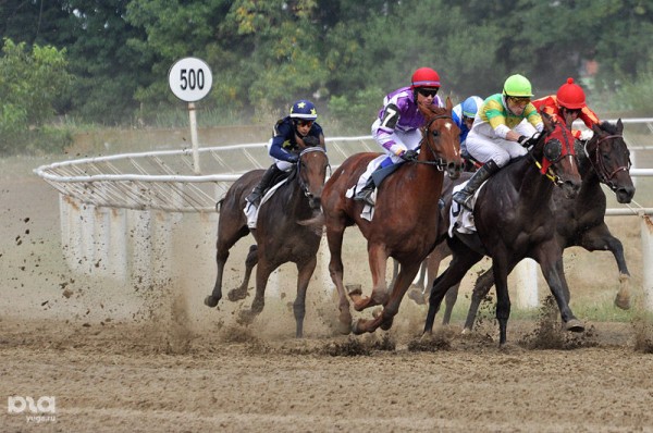 Премьера мюзикла, психологический стендап, симфонический Майкл Джексон. 7 главных культурных событий осени в Краснодаре Премьера мюзикла, психологический стендап, симфонический Майкл Джексон. 7 главных культурных событий осени в Краснодаре