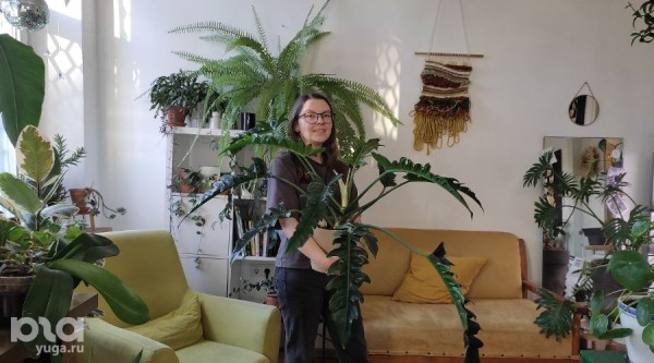 Без хищников и мастер-классов. Как живет и окупается краснодарская растенишная «Ботанка»