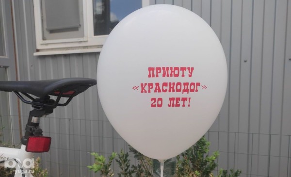 Много слёз и маленькие чудеса. Репортаж с 20-летия приюта для животных &laquo;Краснодог&raquo; в Краснодаре