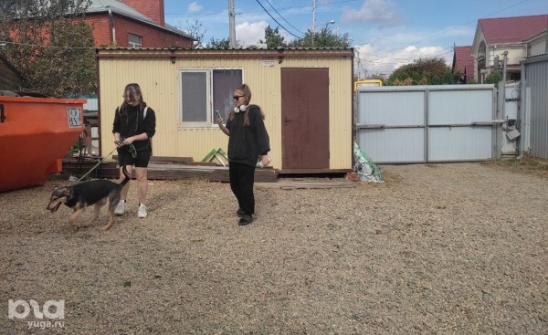 Много слёз и маленькие чудеса. Репортаж с 20-летия приюта для животных &laquo;Краснодог&raquo; в Краснодаре