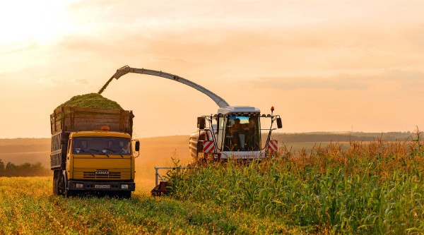 &laquo;Первый раз в кабине сидишь, как в звездолёте&raquo;. Как кубанский аграрий купил комбайн Ростсельмаш и собирает не меньше 1,5 тонны урожая в год 