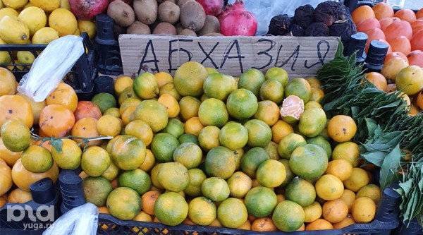 Когда в Краснодаре появятся абхазские мандарины, что продают сейчас и есть ли вкусные мандарины в доставке Когда в Краснодаре появятся абхазские мандарины, что продают сейчас и есть ли вкусные мандарины в доставке