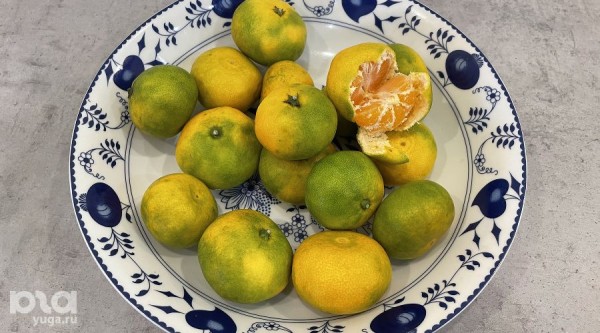 Когда в Краснодаре появятся абхазские мандарины, что продают сейчас и есть ли вкусные мандарины в доставке Когда в Краснодаре появятся абхазские мандарины, что продают сейчас и есть ли вкусные мандарины в доставке