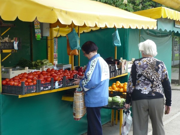 Вечный спор кубанцев: «понаехавшие» - беда или отправная точка развития Краснодара Вечный спор кубанцев: «понаехавшие» - беда или отправная точка развития Краснодара