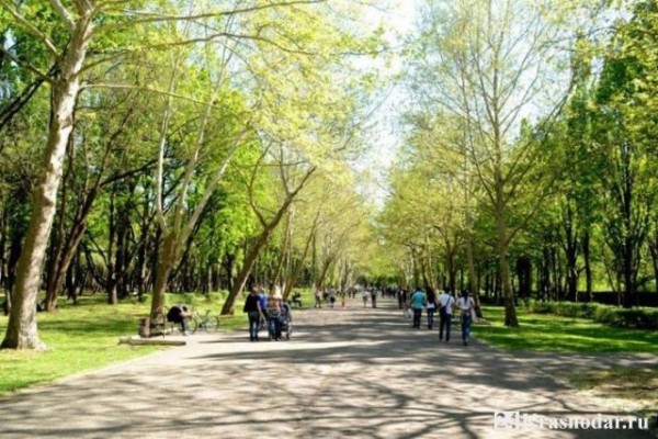 Катавшегося на крыше поезда ребенка ударило током Катавшегося на крыше поезда ребенка ударило током