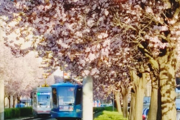 
        В Краснодарском крае 30 марта потеплеет до +20 градусов    