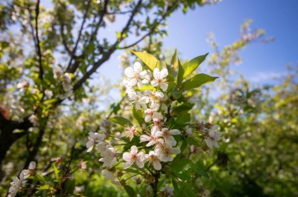 В Краснодарском крае после жары температура воздуха упадет на 10 градусов
В Краснодарском крае после жары температура воздуха упадет на 10 градусов