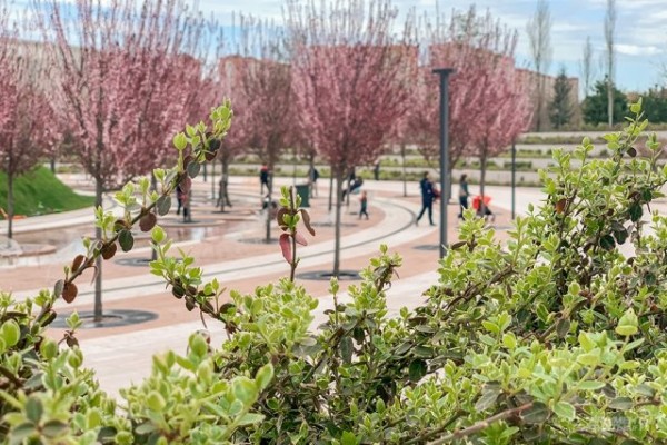 В первую субботу апреля на Кубани будет солнечно, осадков не ожидается
В первую субботу апреля на Кубани будет солнечно, осадков не ожидается