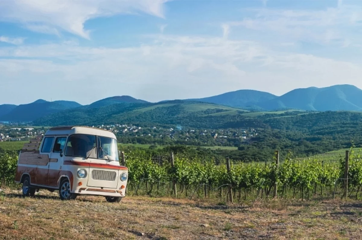 
        Утром 30 мая над территорией Краснодарского края уничтожено пять БПЛА    