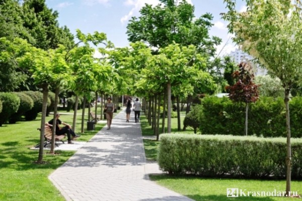 Сергей Галицкий благоустраивает Краснодар