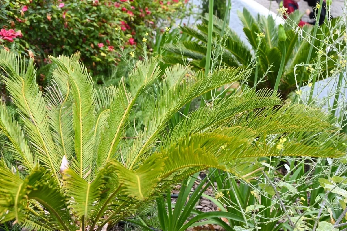 
        Жителей  Сочи предупредили о сильных дождях и грозах    