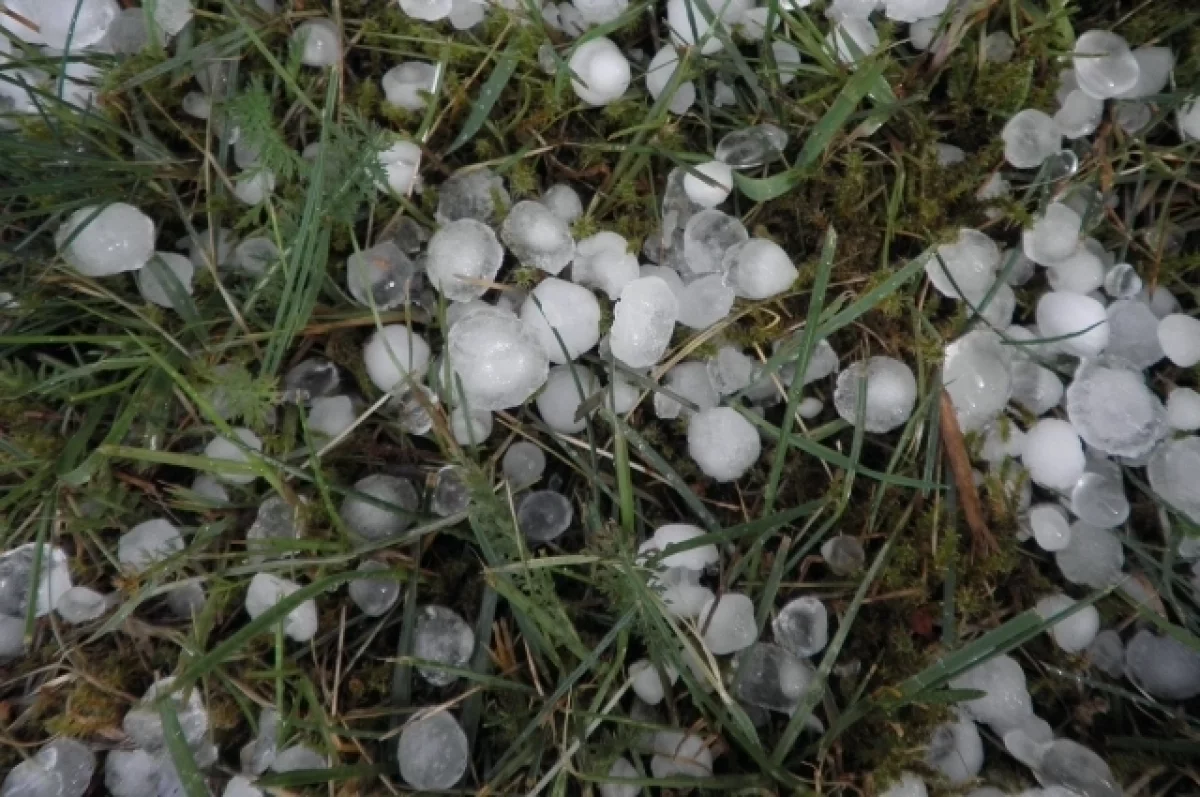 В Новороссийске подтопило улицы и выпал град размером с куриное яйцо
В Новороссийске подтопило улицы и выпал град размером с куриное яйцо