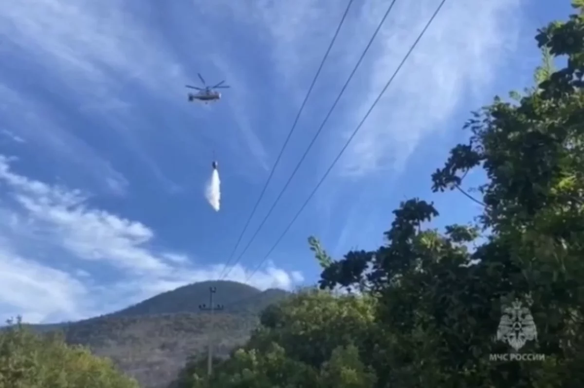 
        Опубликованы кадры тушения пожара под Новороссийском при помощи авиации    