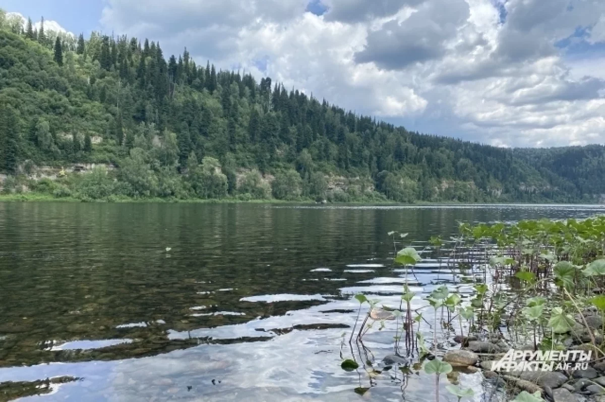 
        В Туапсинском районе предупредили о возможном подъеме уровня воды в реках    